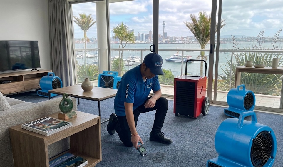 Dry Me Now technician using LGR dehumidifier and air movers to dry flooded Auckland home.