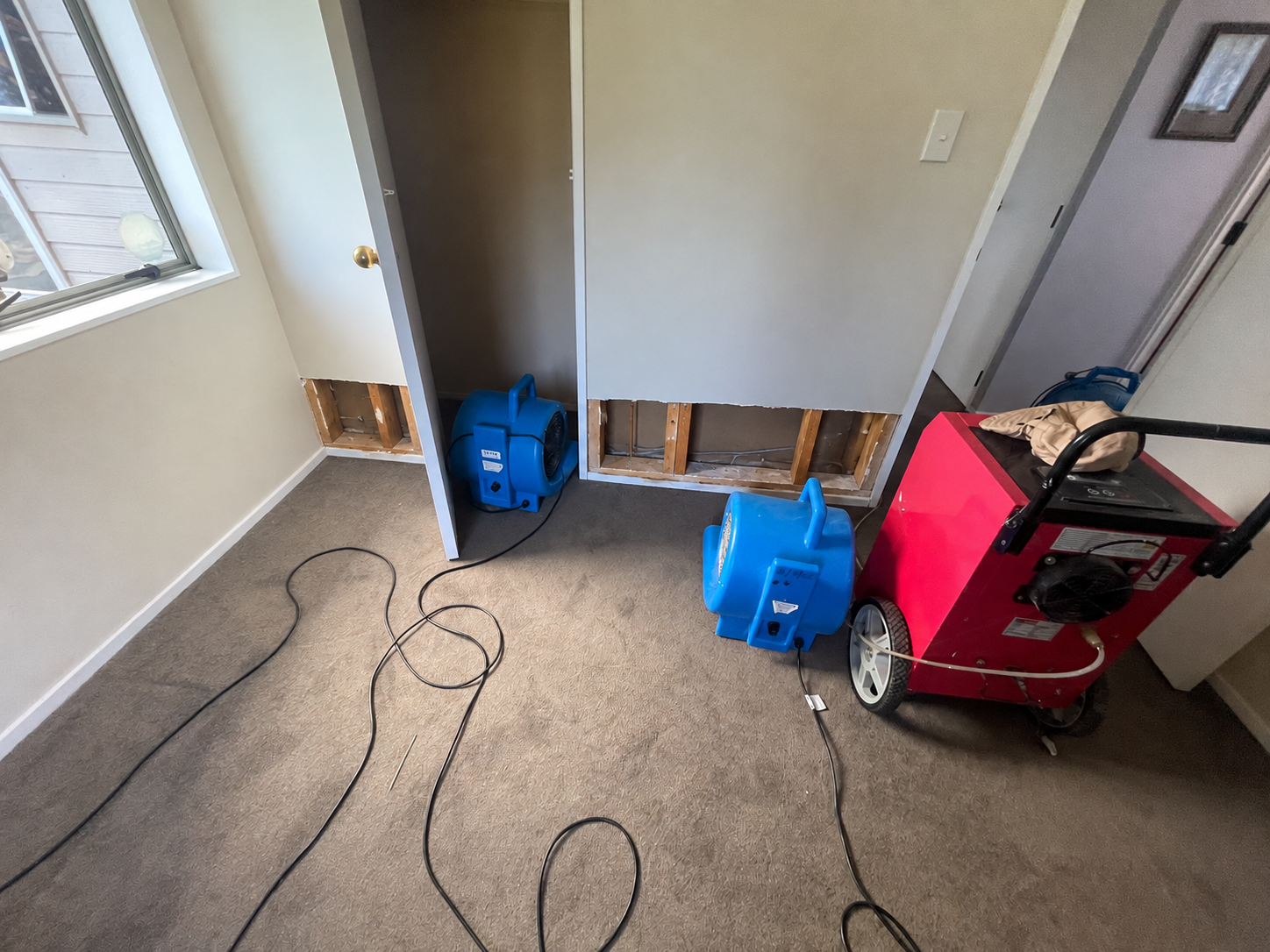 Bedroom and wardrobe carpet drying setup with dehumidifier, air movers and lower GIB inspection openings